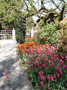 DSC00735