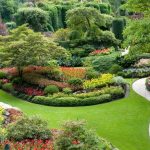 Turn Your Gravel Pit into A Beautiful Garden | focuswithmarlene.com